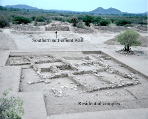 Read more about the article KOTADA BHADLI