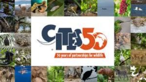 Read more about the article 50 Years of CITES : A Milestone in Global Wildlife Conservation